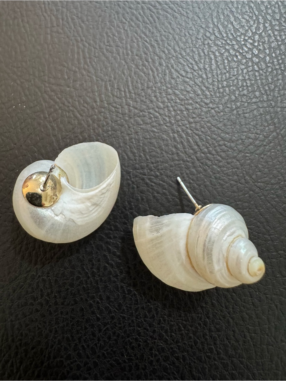 Seashell earrings